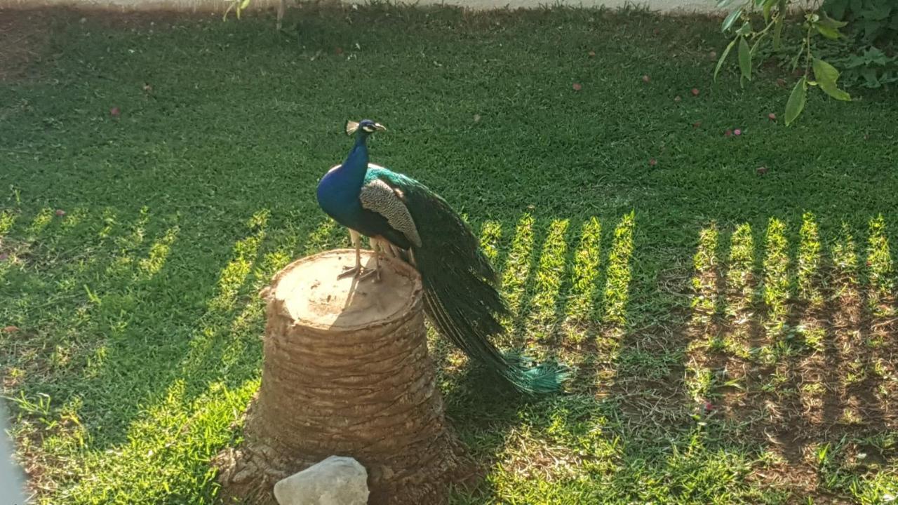 Vila Per Mare Loutra Oraias Elenis Exteriér fotografie
